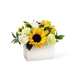 The FTD Sweet as Lemonade Bouquet from Parkway Florist in Pittsburgh PA